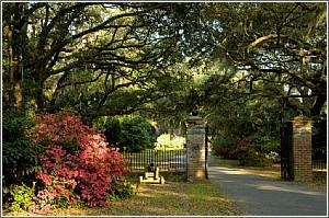 Legare-Waring House Entrance 