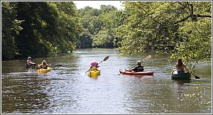 Kayaking on the Edisto at Colleton