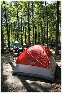 Camping at Colleton State Park