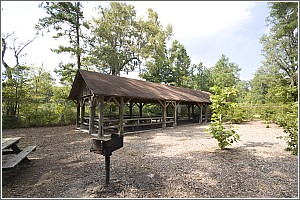 Picnic Shelter at Givhans Ferry