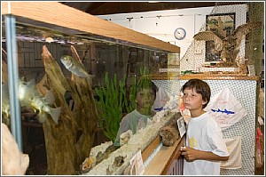 The Hunting Island Nature Center