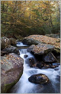 The Middle Saluda River