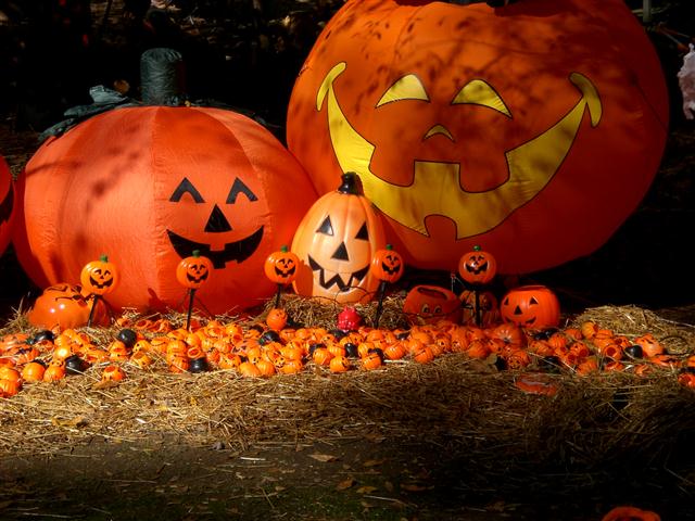 Halloween at Lake Wateree