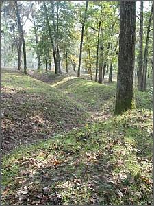 South Carolina Civil War Site